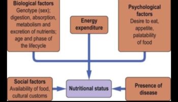 Bioķīmiskais līdzsvars: orientēšanās uz uztura veselības ceļiem