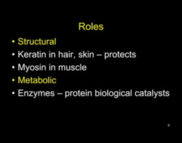 Uzturvielu katalizatori: uztura bioķīmijas spēkstacijas