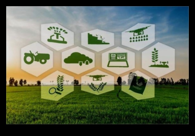 Zaļā revolūcija: videi draudzīgu jauninājumu pozitīvas tehnoloģiskās ainavas veidošana