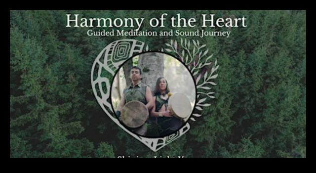 Vadīta harmonija: labklājības veicināšana, izmantojot meditāciju