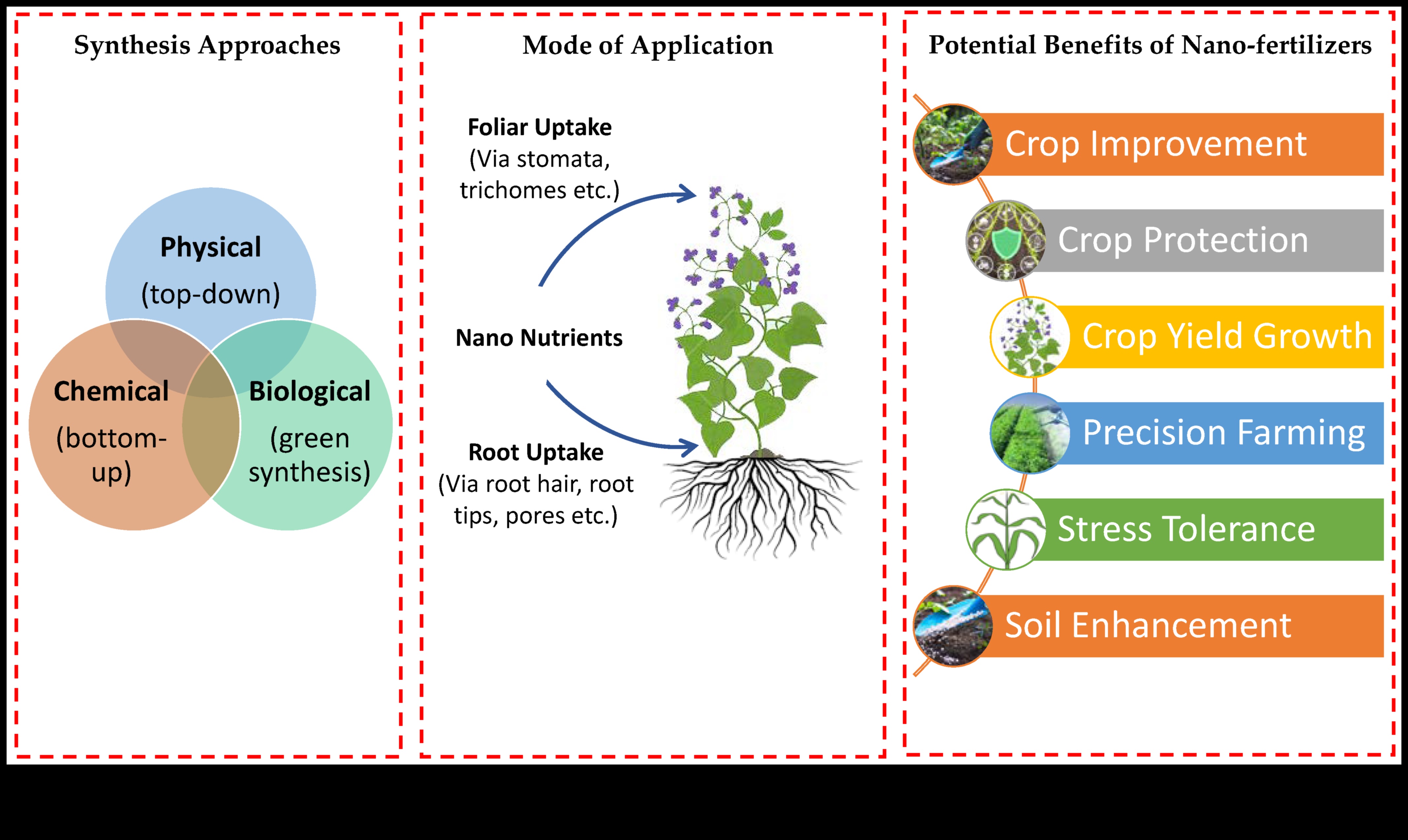 Nano Horizons projektēšana: tendences un uzvaras radošajā mākslā un precizitātē