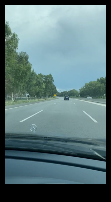 Journey Jive: Dejošana praktisku ceļojumu padomu ritmā