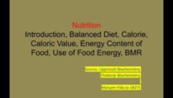 Bioķīmiskais līdzsvars: atslēga uz uztura labsajūtu