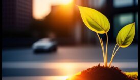 Atjaunojamās dzirksteles: aizdedzina inovācijas ilgtspējīgos risinājumos