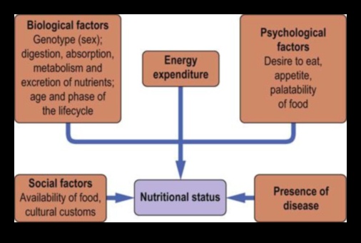 Bioķīmiskais līdzsvars: orientēšanās uz uztura veselības ceļiem