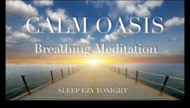 Mierīga oāze: stresa samazināšana, izmantojot ikdienas meditāciju