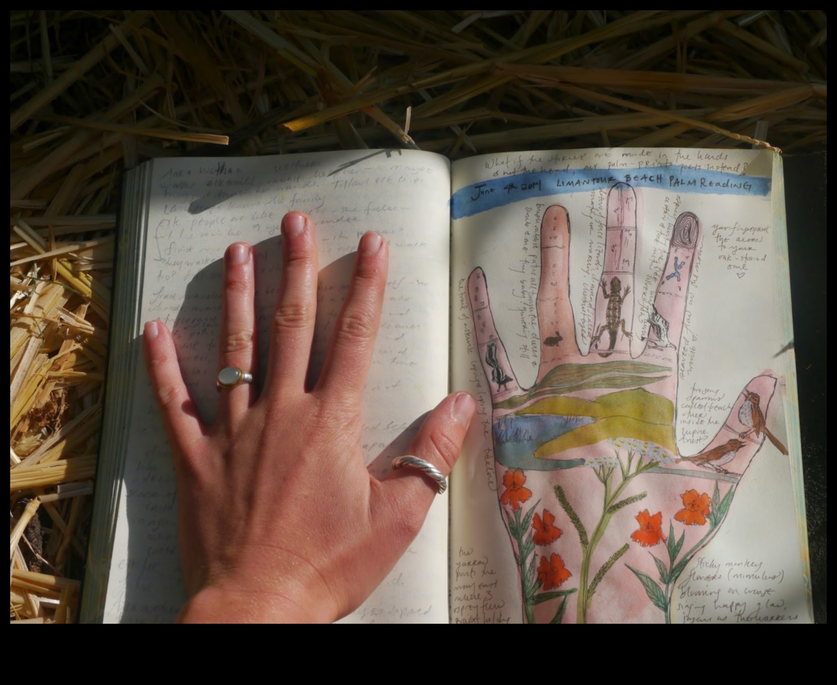 Fingered Fantasia: miniatūru rokas tintes stāstījumu atklāšana