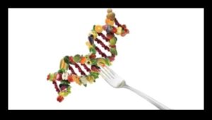 No DNS līdz pusdienu šķīvim: Uztura bioķīmijas zinātne