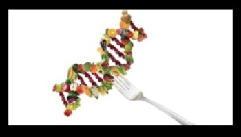 No DNS līdz pusdienu šķīvim: Uztura bioķīmijas zinātne