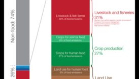 Trūkuma dialogs: sarunas par uztura nepilnībām