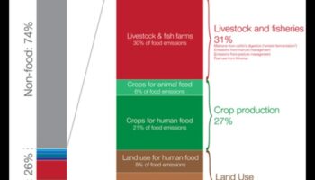 Trūkuma dialogs: sarunas par uztura nepilnībām