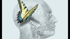 Uzturvielu hronikas: stāsti par veselību caur uzturu