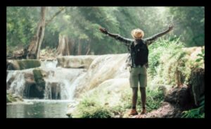 Wellness Odyssey: ceļojums uz uztura atklājumiem