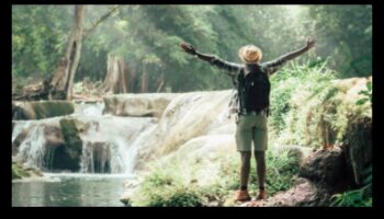 Wellness Odyssey: ceļojums uz uztura atklājumiem