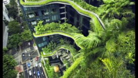 Zaļie arhitekti: rītdienas risinājumu izveide ar novatoriskām videi draudzīgām tehnoloģijām