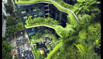 Zaļie arhitekti: rītdienas risinājumu izveide ar novatoriskām videi draudzīgām tehnoloģijām